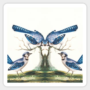 Blue birds story Sticker